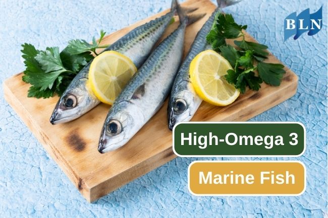 A Deep Dive into High Omega-3 Marine Fish